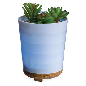 Potted Succulent Oil Diffuser