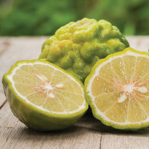 Bergamot Lime