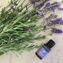 Lavender Oil